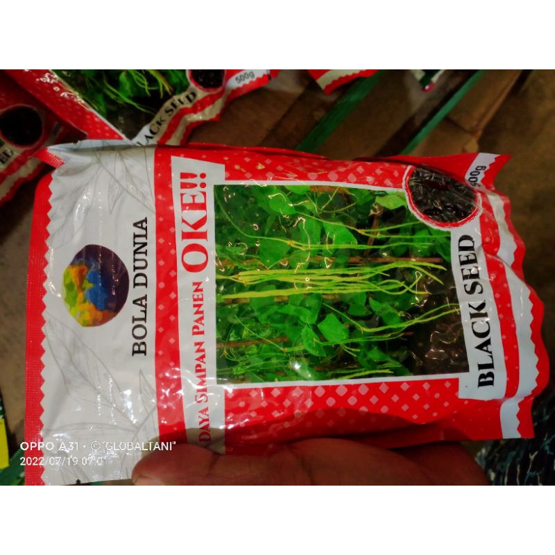 

bola dunia kacang panjang