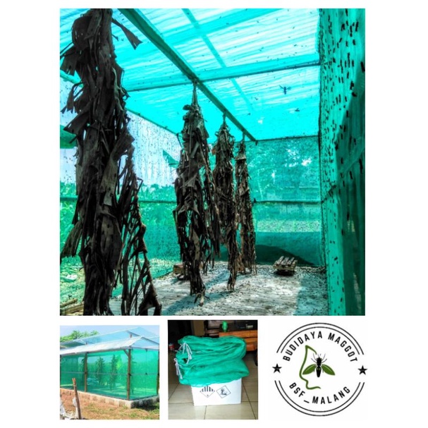 WARING KASA INSECT/KASA NYAMUK LALAT BFS