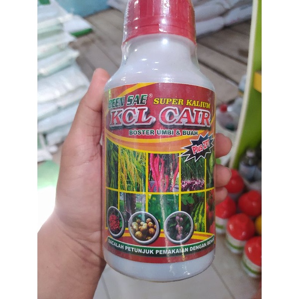 KCL CAIR plus ZPT booster umbi & buah 500 ml