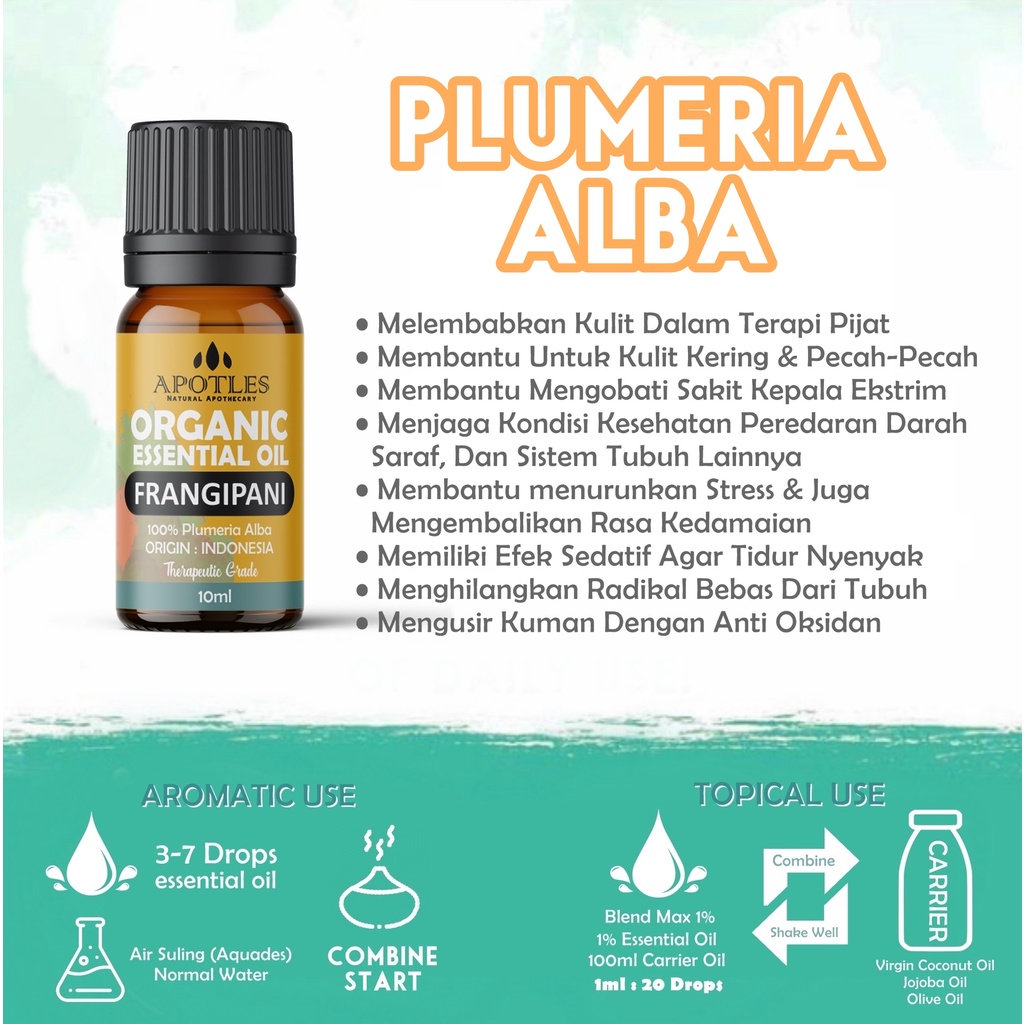 Frangipani Essential Oil - Minyak Aromaterapi Kemboja Frangipani Pure Essential Oil 10ml