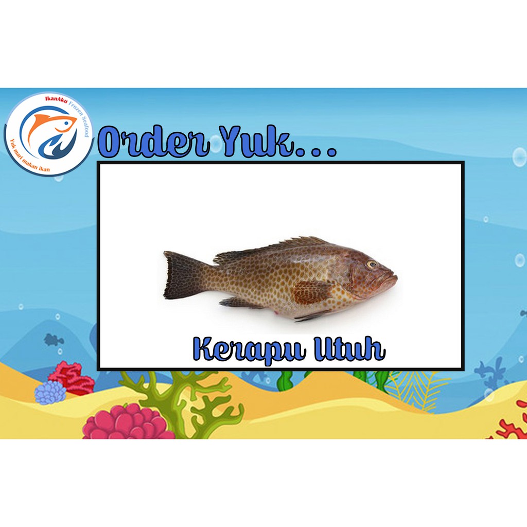 

Ikan kerapu utuh