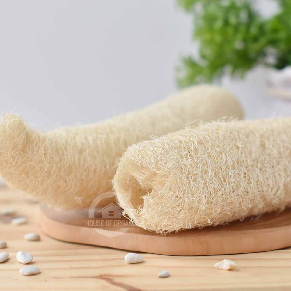 Natural Bath Sponge Loofah / Serat Oyong 1 Pc