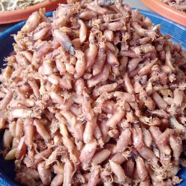 

Cumi baby ukuran 3 cm berat 500 gram Grade A Super (Bisa COD)