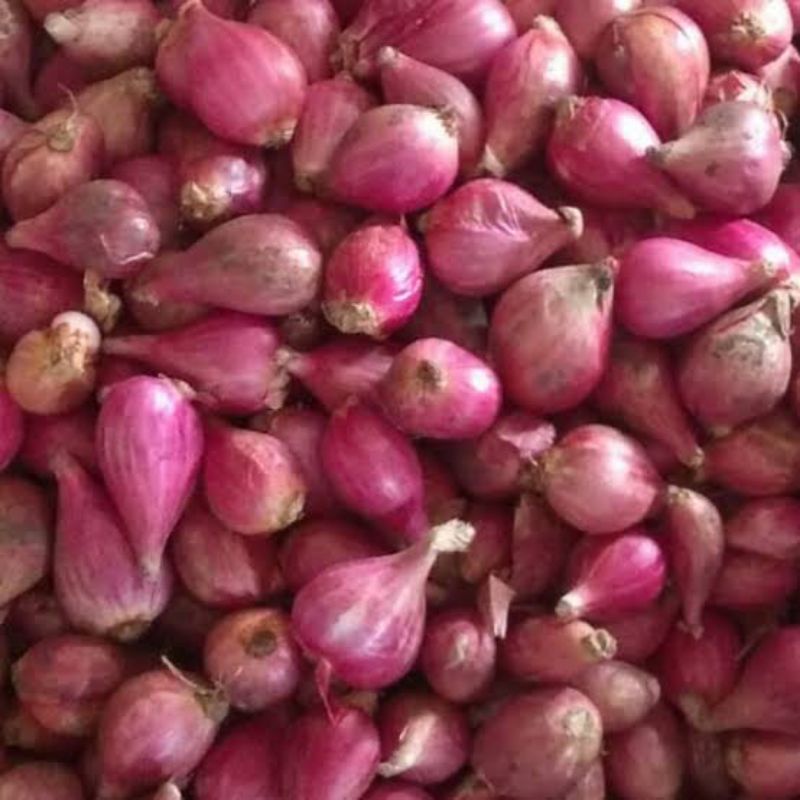 

Bawang Merah Super 1Kg