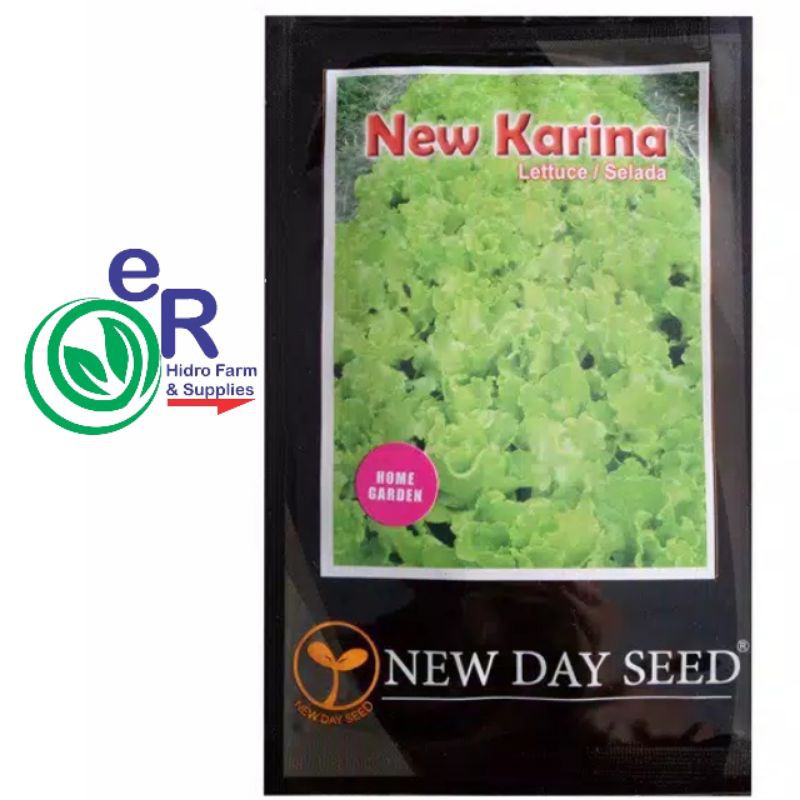 Benih Selada Kriting Hijau New Karina Nes Day Seed