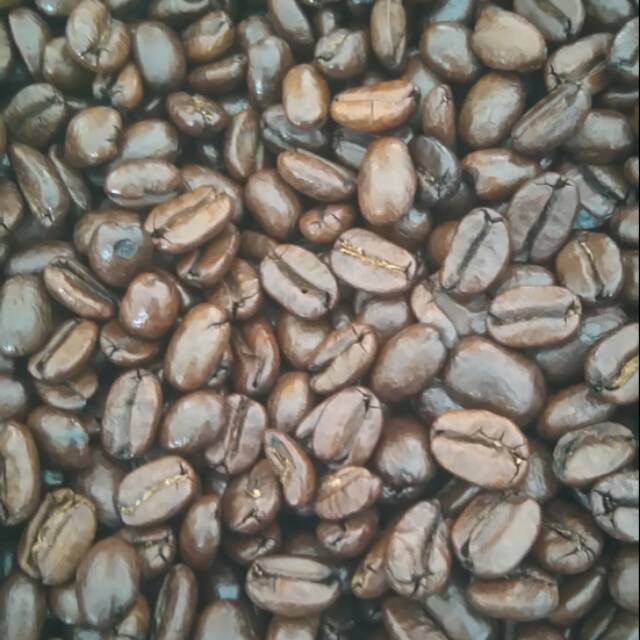 

Kopi arabica