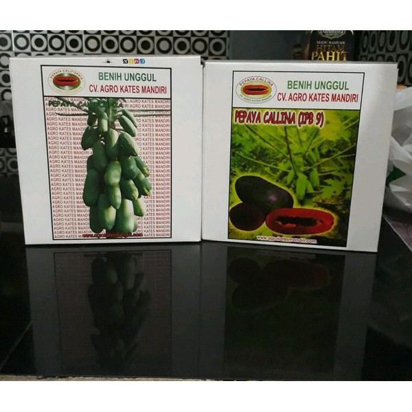 Bibit pepaya california ipb9