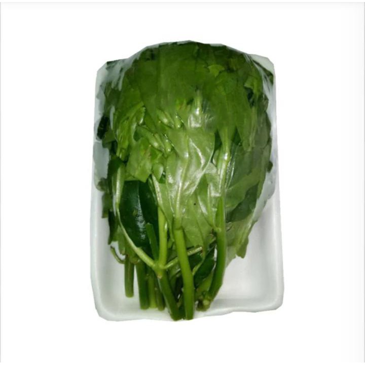 

Daun Ginseng Pack/ 200g