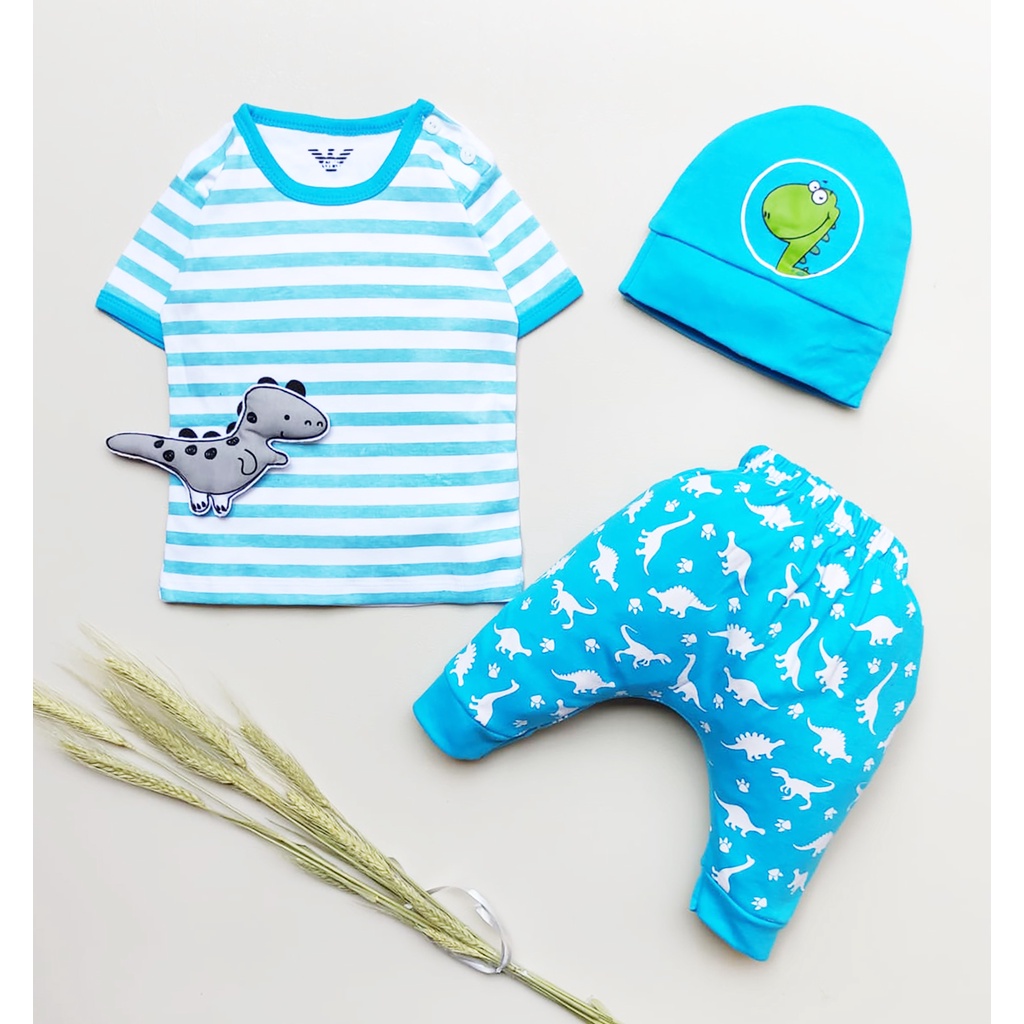 Klik Mds Setelan Baju Anak Bayi Laki-laki Atasan Dan Celana Motif Karakter Dino Free Topi / 1 Ukuran