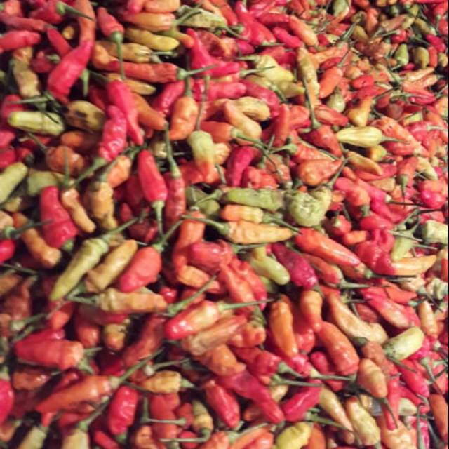 

Cabe rawit merah 1kg