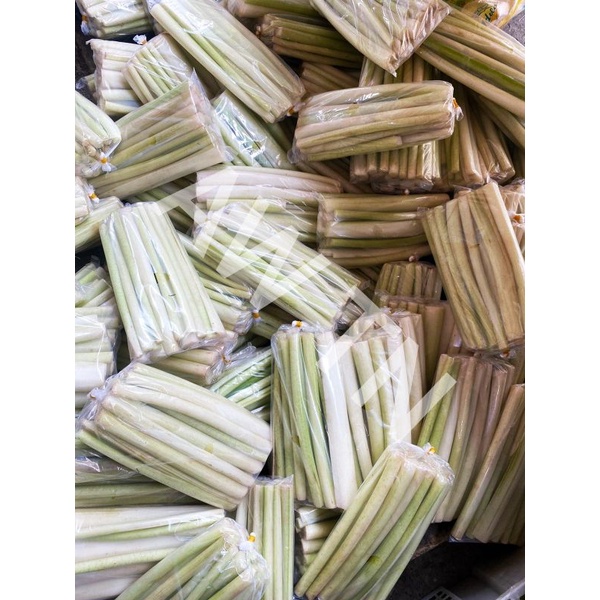 

Bupiho /Buho / batang talas manis