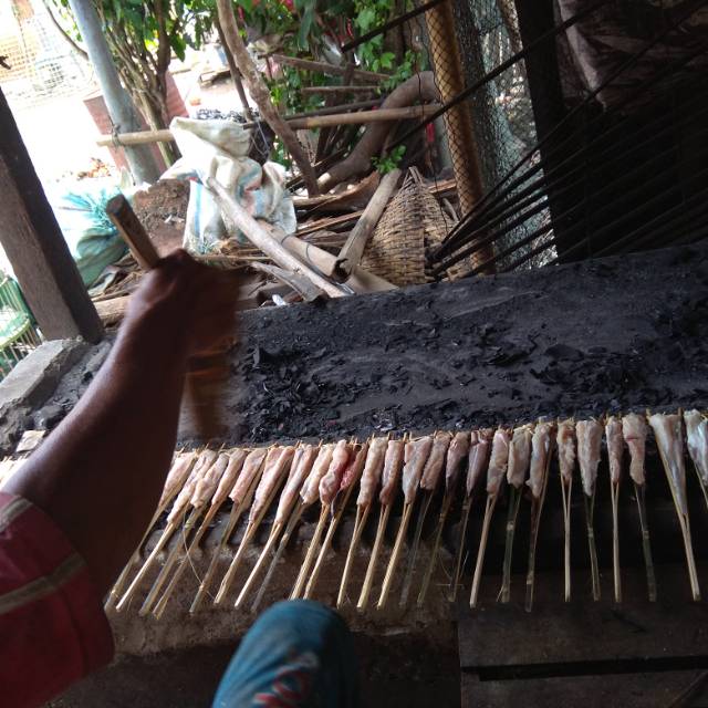 

Ikan gapitan pe