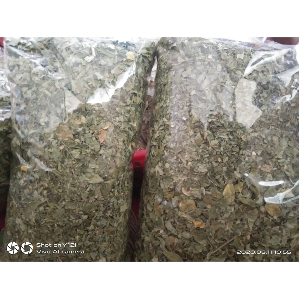 

Teh Daun Kelor seduh