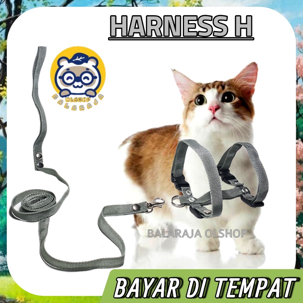 Harnes H + Tali Tuntun 1 Set Model H Polos Kucing Kiten Kelinci Musang Anjing Kecil Ready Semua Warna