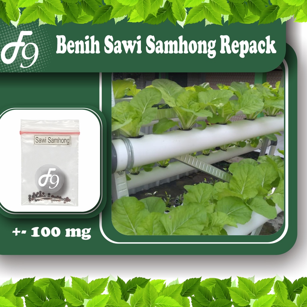 Benih BIbit Sawi Samhong Murah Repack Seribuan