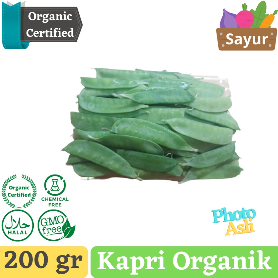 

Kacang Kapri Organic Certified | Edible podded pea