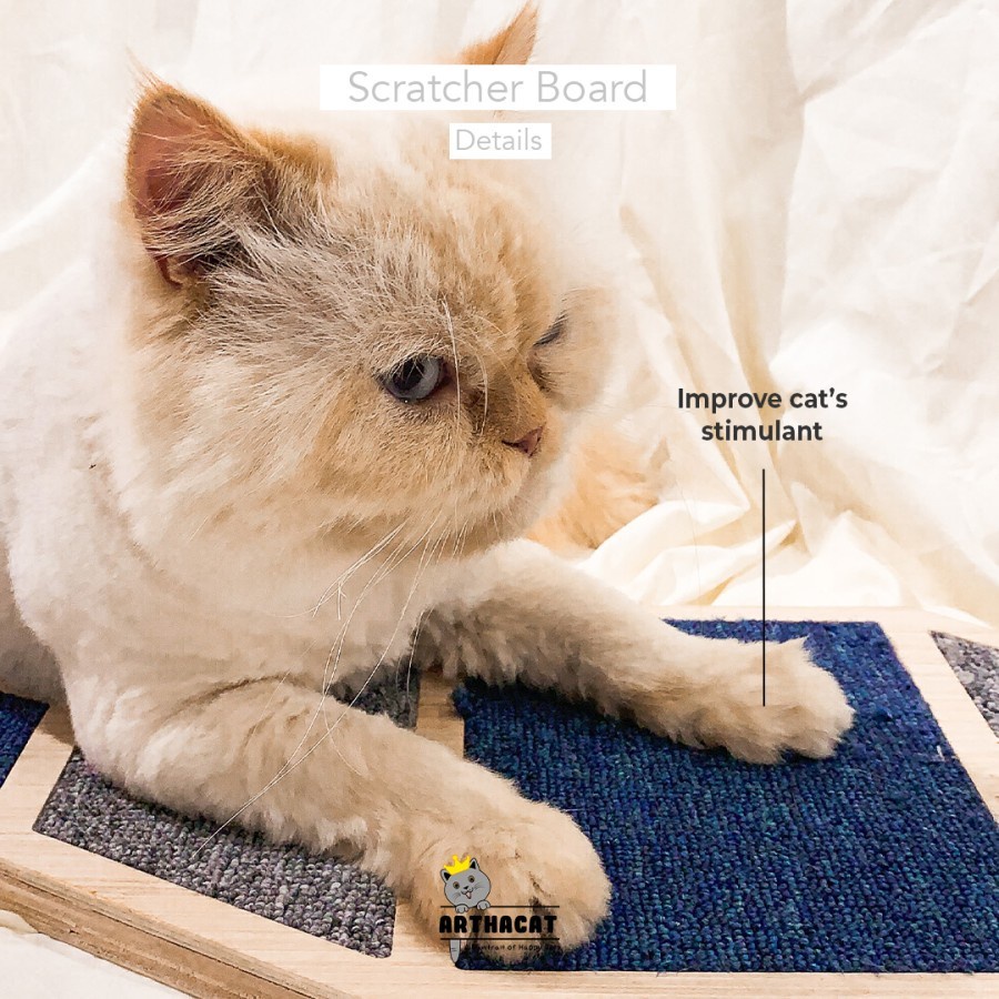 Attractive Cat Scratcher Board - Mainan Papan Cakar Kucing Arthacat