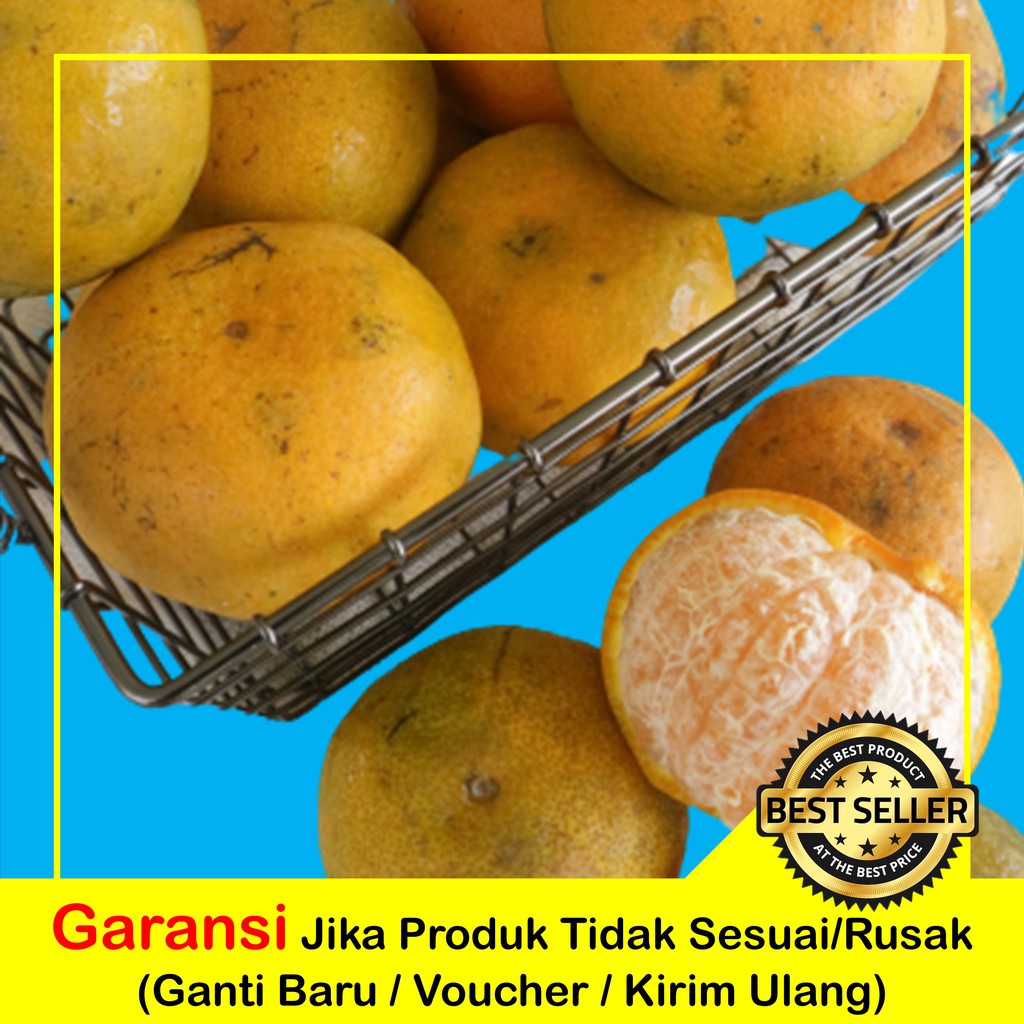 

PROMO TERLARIS BUAH JERUK MEDAN SUPER SEGAR | GARANSI GANTI BARU