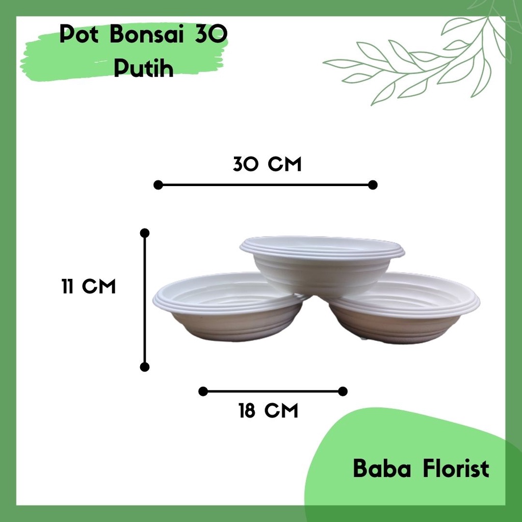 POT BONSAI 30 - POT BONSAI 30 CM - POT BONSAI PUTIH - POT TANAMAN BONSAI - POT ADENIUM - POT CEPET B