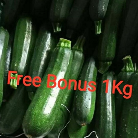 

Zucchini | Zukini + Gratis Bonus