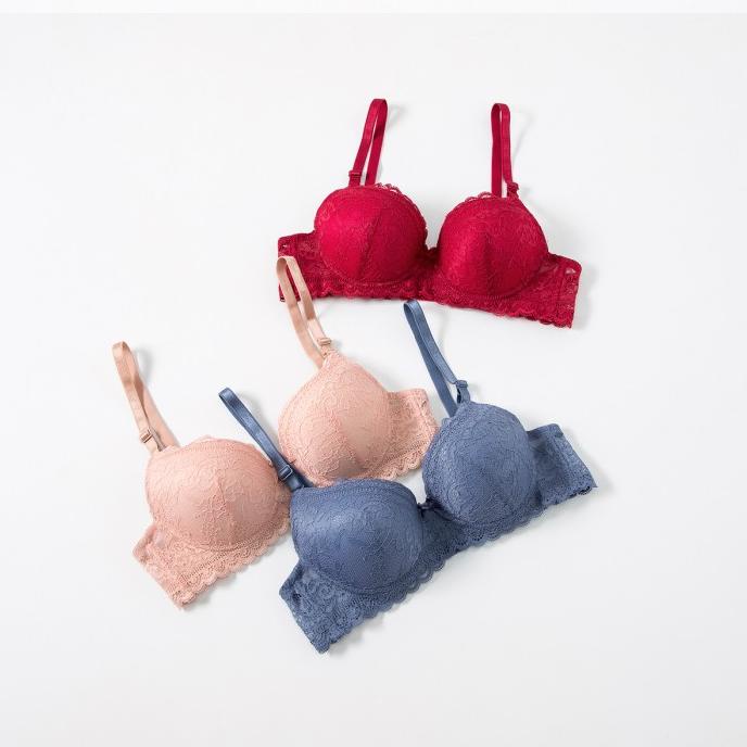 Felancy Lace Bra 073-1236B