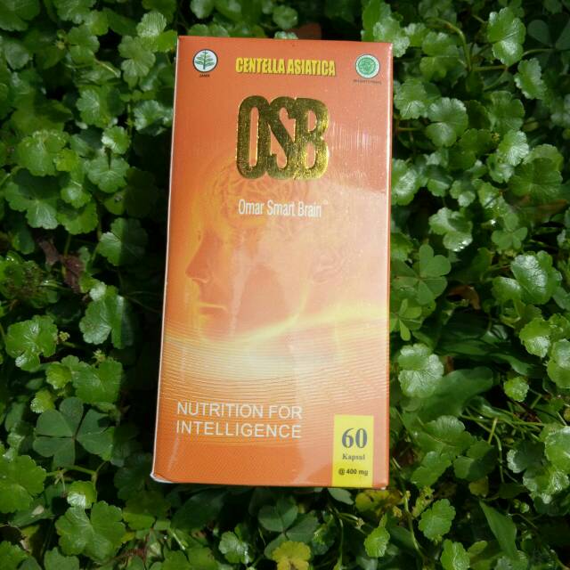 OSB (Omar Smart Brain)