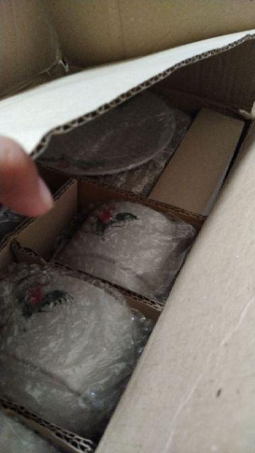 Tea Cup Ayam Jago (1 Set Isi 6 Pcs)