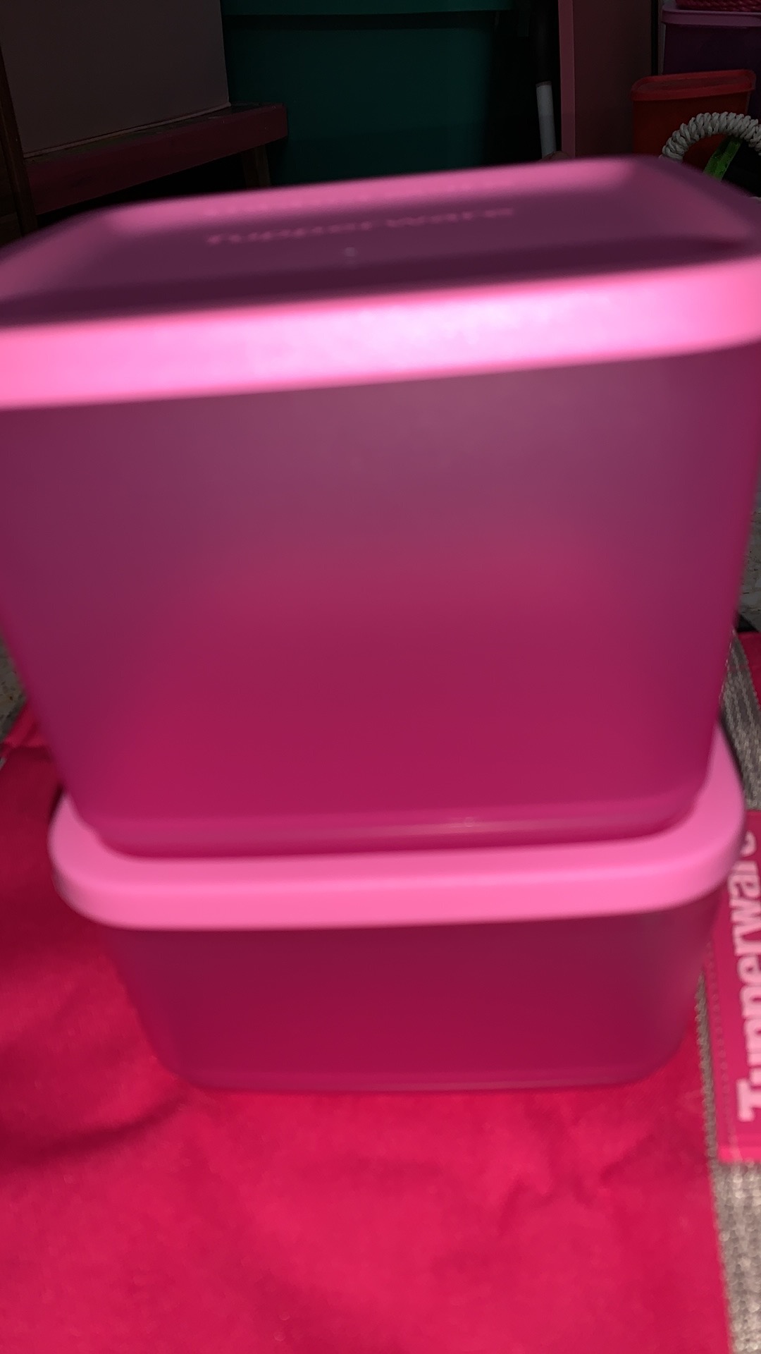 Medium Summer Fun - Summer Fresh - Tropical Fiesta - Pop Fiesta (1 Pcs) Toples Tupwr