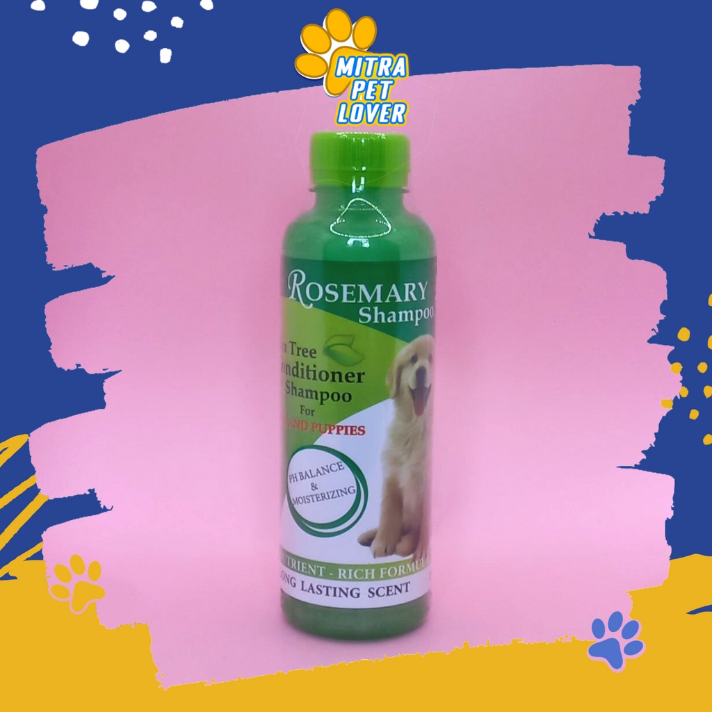 SHAMPO ANJING WANGI - ROSEMARY DOG SHAMPOO ANJING 250ML ORIGINAL - SAMPO DENGAN PH BALANCE MOISTERIZING CONDITIONER AMAN LEMBUT MURAH BAGI DOGGY PUPPIES - PET ANIMAL HEALTHCARE VETERINARY TAMASINDO OBAT DAN VITAMIN HEWAN BINATANG PELIHARAAN MITRAPETLOVER