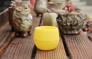 POT VAS BULAT MINI PLASTIK POT BUNGA KAKTUS SUCCULENT POT VAS BULAT MINI PLASTIK POT BUNGA KAKTUS SUCCULENT