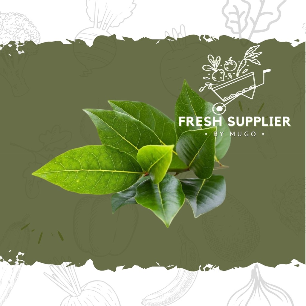 

Daun Salam 100g Fresh Supplier