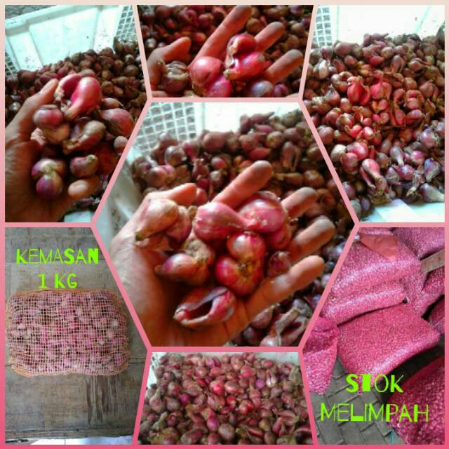 

Bawang Merah BREBES Paling Super