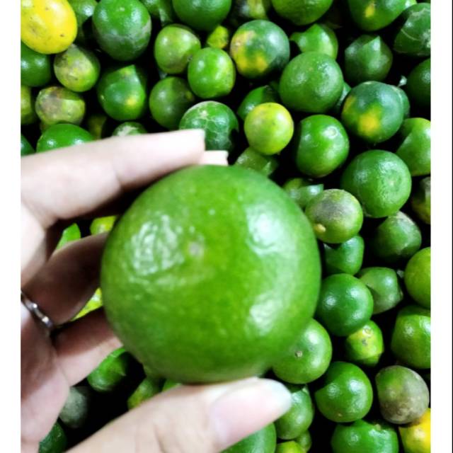 

Buah jeruk peras|buah jeruk|jeruk|buah segar|buah segar bandung