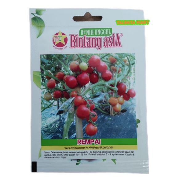 BINTANG ASIA - BENIH TOMAT REMPAI