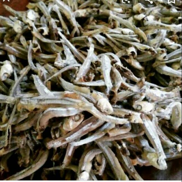 

ikan teri