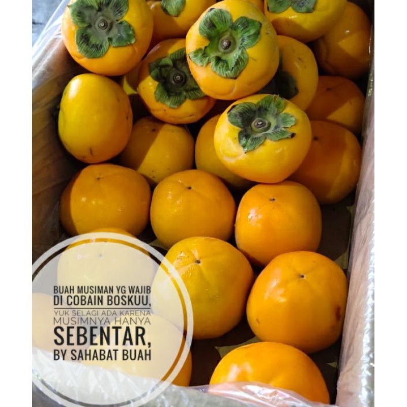 

BUAH KESEMEK PERSIMON IMPORT NEW ZEALAND GROSIR 1 DUS