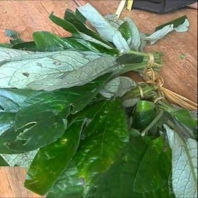 

DAUN REUNDEU LALABAN KHAS SUNDA SEGAR 1KG