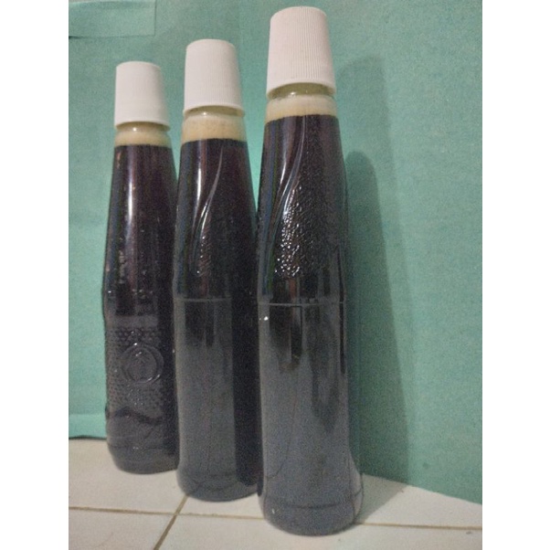 

madu hutan asli