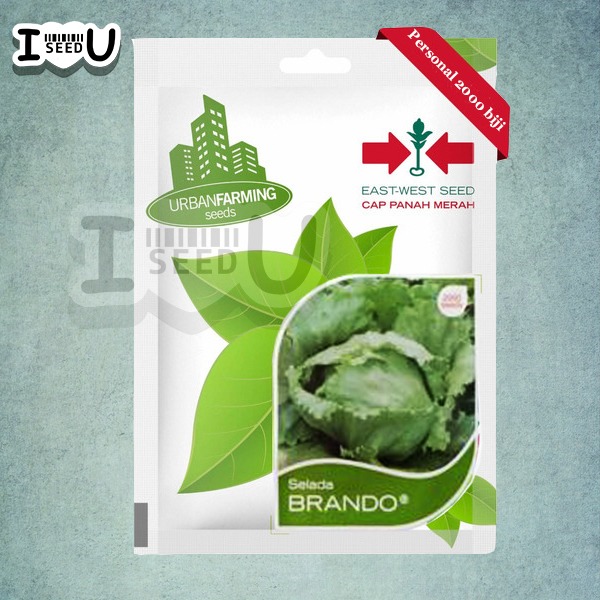 Bibit-Biji Selada Krop Brando - Cap Panah Merah