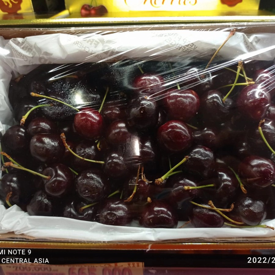 

CHERRY MERAH TAZ REID FUJT 30-32" PER DUS