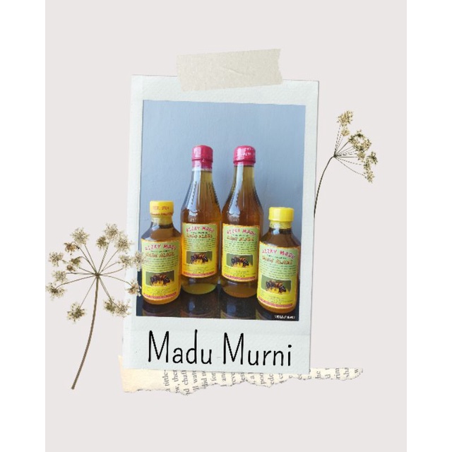 

MADU MURNI 100% ASLI_MADU KELENGKENG