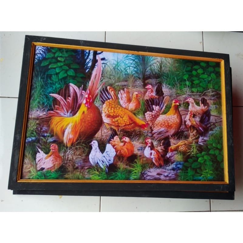 Lukisan murah poster murah hiasan dinding gambar ayam jago Kate family plus Bingkai ukuran 65×45