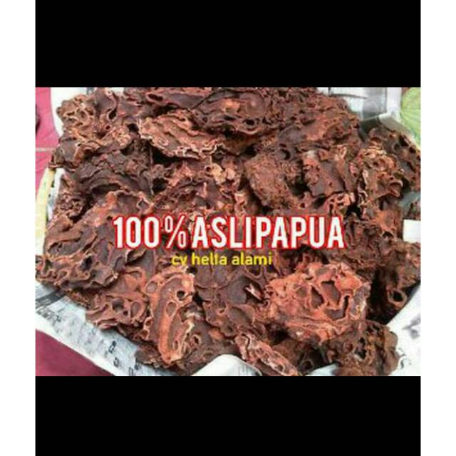 Sarang semut asli papua