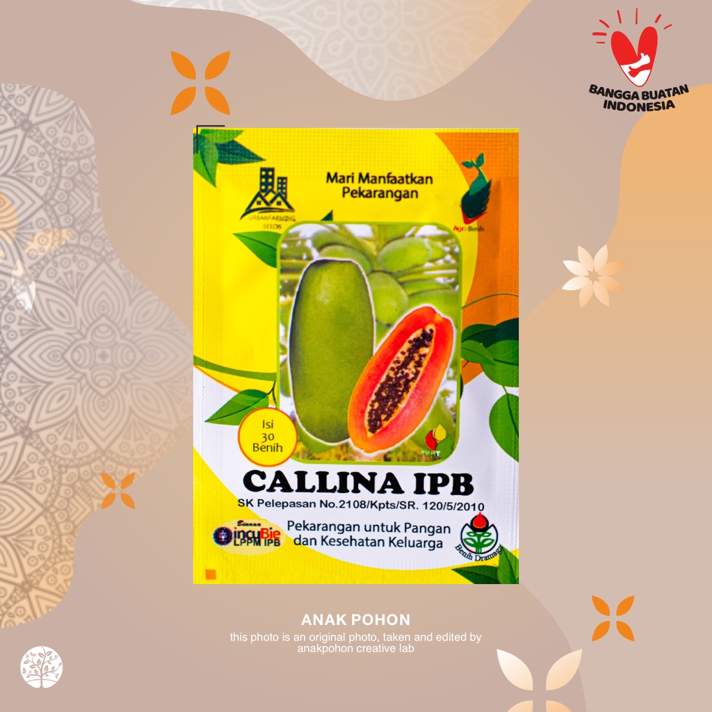 (1 PACK) Benih Pepaya Callina (IPB9) - IPB Retail Pack - 30 SEEDS