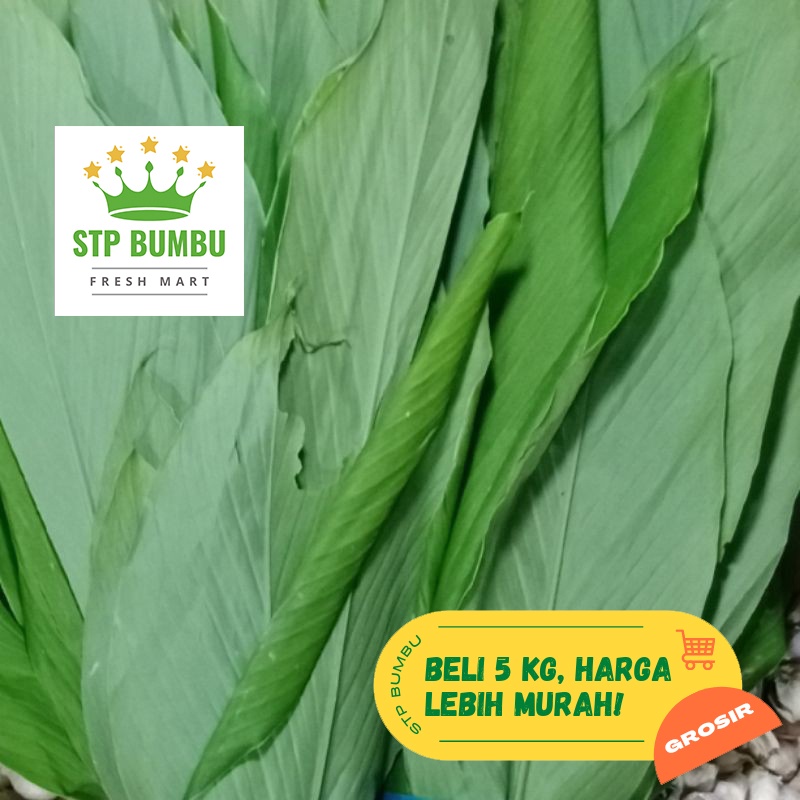 

Daun Kunyit Segar Fresh 1 kg