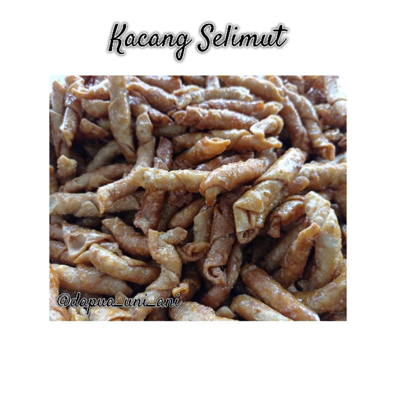 

KACANG SELIMUT
