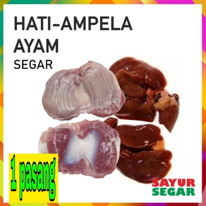 

ati ampela fresh sepasang hati ayam