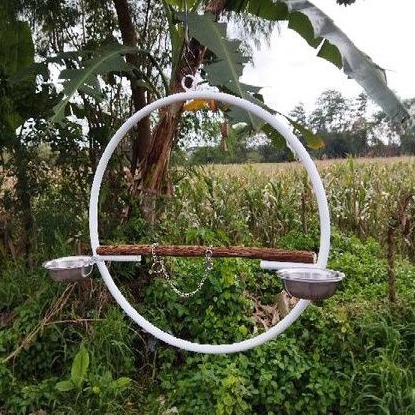 Tangkringan Ayunan Bulat Burung Parrot Nuri Sunconure