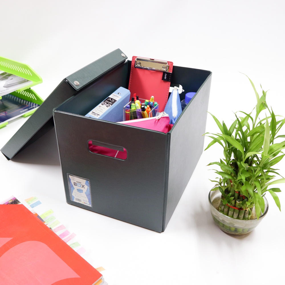 

[Zada] Kotak Penyimpanan Multifungsi Storage Organizer Box Bantex Easy Box L #8920 04