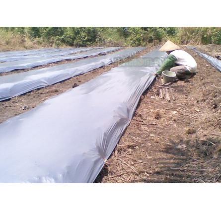 Terlaris.. Plastik mulsa pertanian hitam perak 1 roll LOTUS 4Kg 120cm X 100m tebal kuat bagus murah